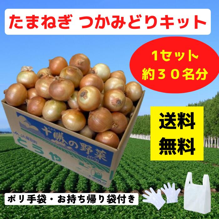たまねぎつかみどりキット 1セット約30名分【送料無料 イベントキット たまねぎ 野菜 産地直送 つかみどり つかみ放題 ノベルティ イベント プレゼント 販促 販促品 景品 ギフト 来店プレゼント】