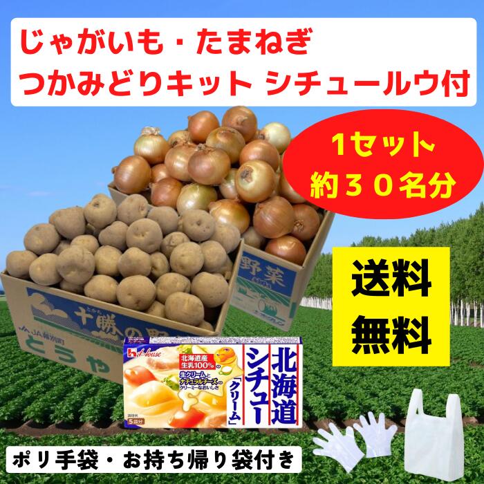 楽天市場】【送料無料】野菜3品 詰め放題キット 1セット約36名分