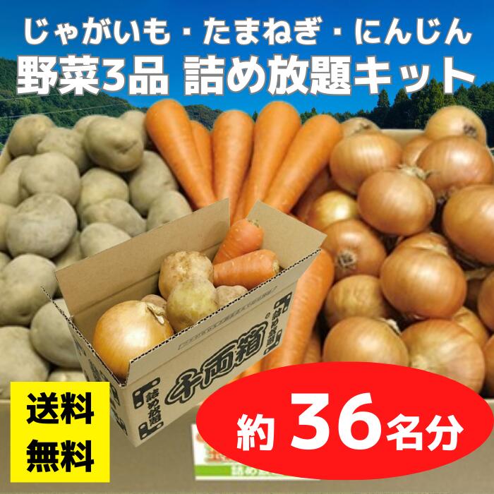 【送料無料】野菜3品 詰め放題キット 1セット約36名分【イベントキット 詰め放題 詰合せ 詰め合わせ つめほうだい つかみどり つかみ取り ギフト ノベルティ 来店プレゼント 粗品 景品 ギフト ノベルティ お祭り 感謝祭 縁日 展示会 町内会 野菜ギフト じゃがいも】