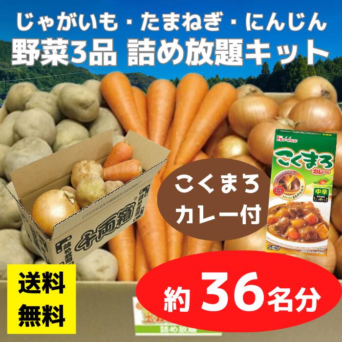 野菜3種セット（新たまねぎ・にんじん・新じゃがいも）各約５kg 合計１５kg 野菜3種セット（新たまねぎ・にんじん・新じゃがいも）各約5kg