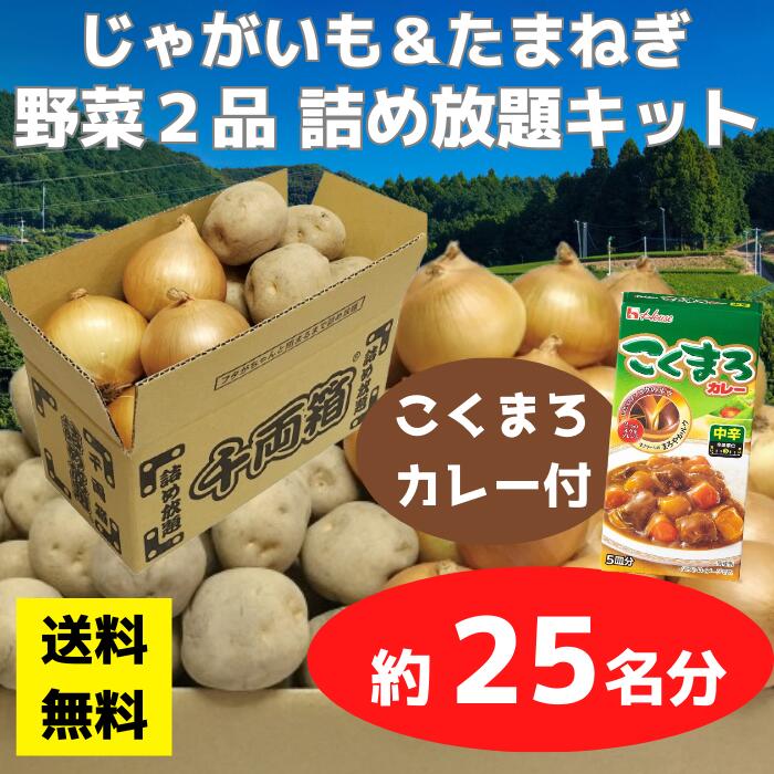 楽天市場】【送料無料】野菜2品 詰め放題キット 1セット約25名分