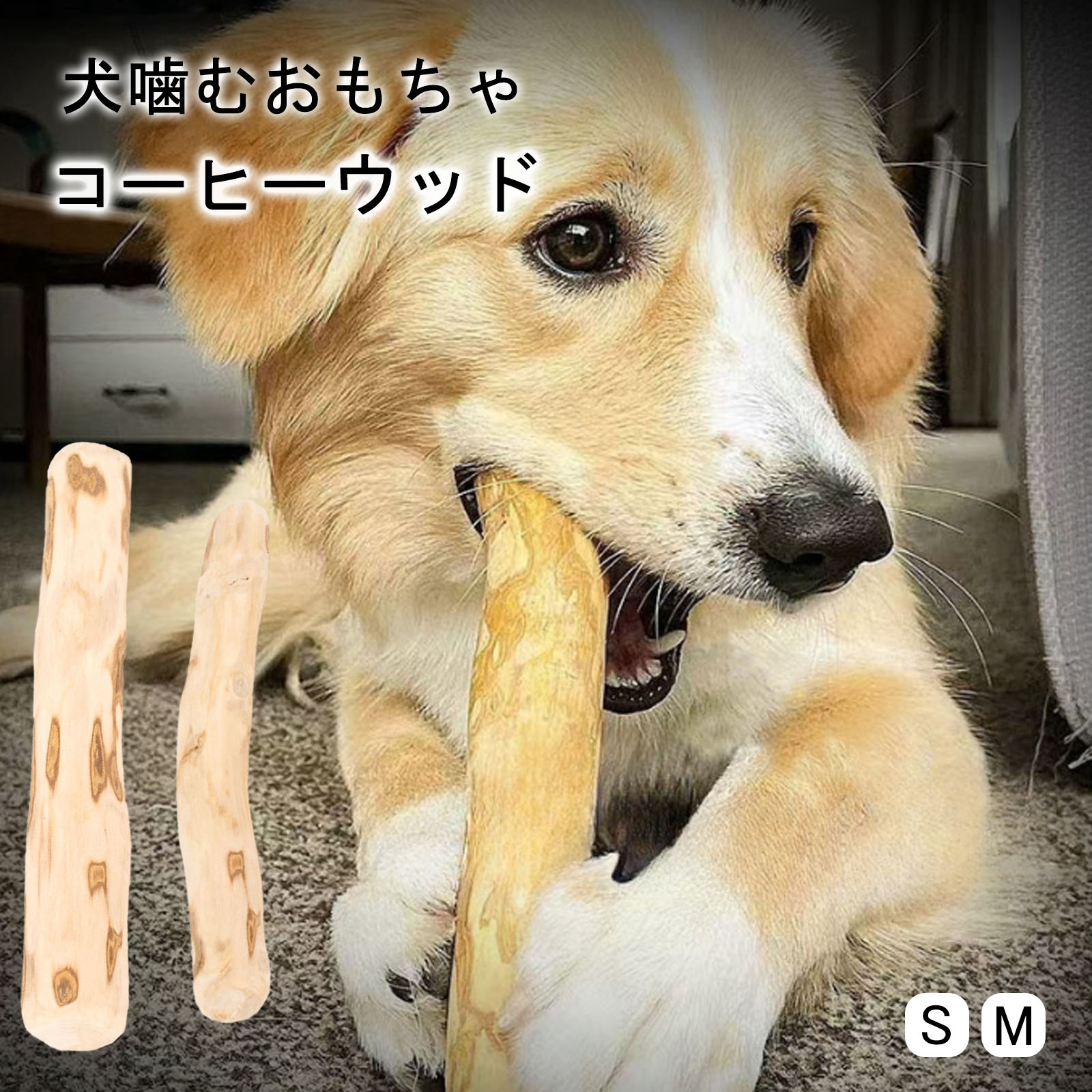 楽天市場】＼2点目で50％OFF／【当日出荷】コーヒーウッド 犬 噛む