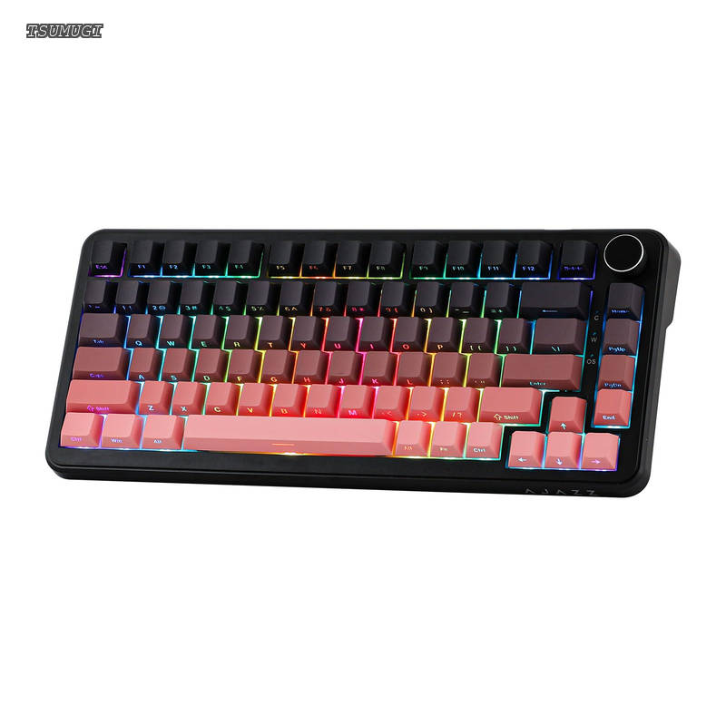 【貨物輸送無料】AJAZZ AK820 MAX HE 大広間成り行きゲーミングキーボード アクチュエーション自然調整能力のある 8KHzポーリング単位料金 有線ラピッド磁気鍵盤 クリーミーな屁っ放り毛布 RGBうしろ側ともし火 Win/Mac用NKRO (Black Pink)