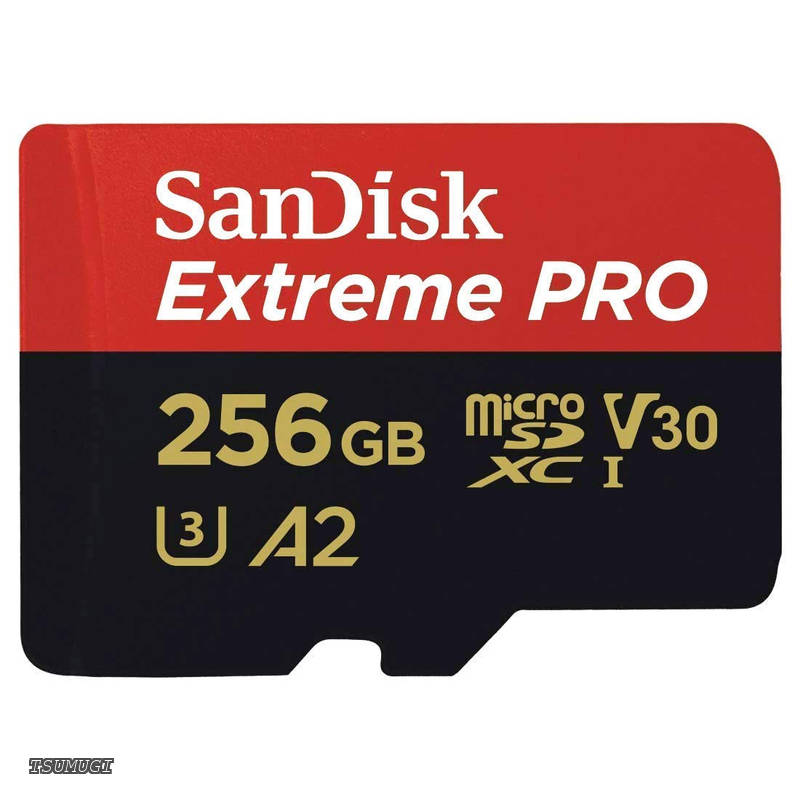 【貨物輸送無料】256GB SanDisk サンディスク Extreme PRO UHS-1 U3 V30 4K Ultra 固定ディスク A2相応う SDアダプタ付 [並行輸入品]