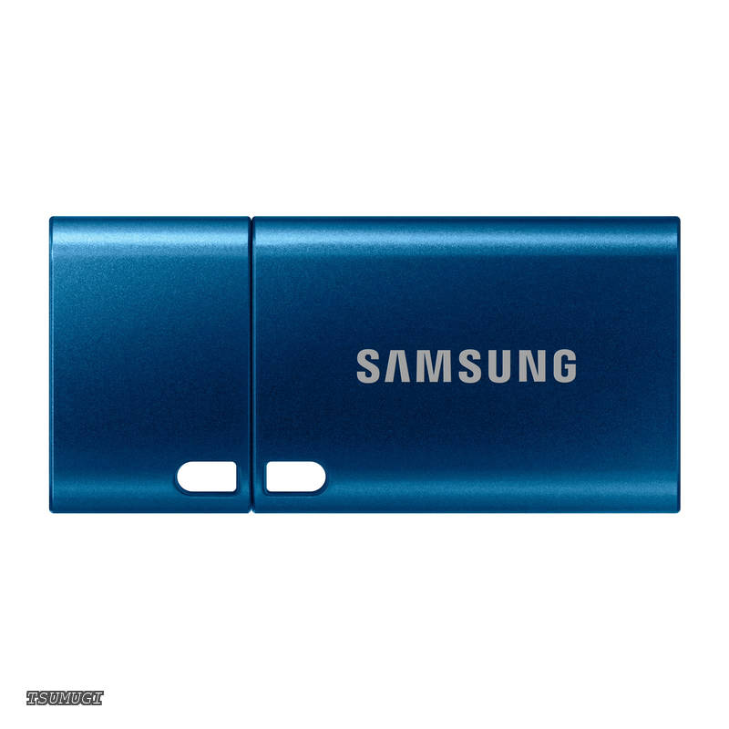 【貨物輸送無料】USB記憶装置 Type-C 256GB 最大限度移らすす早さ400MB/s Flash Drive MUF-256DA/EC 国内置き目引き受ける品