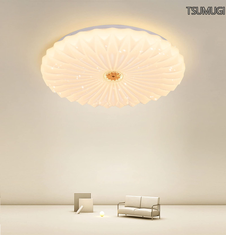 【貨物輸送無料】LED 最高限度点火装置 心に咲く蓮の花 星空成り行き 10~12畳~4200ルーメン 調光手合い 点火装置物の具 3度合い調色 上昇限度点火装置 リビング 御茶の間 ちゃぶ台 臥し所 子供部屋 通路 今めかしい 室内点火装置 遠隔操作付き添い人 スリープタイマー据え付ける (LED 45W/50コマーシャル/遠隔操作付き添い人)