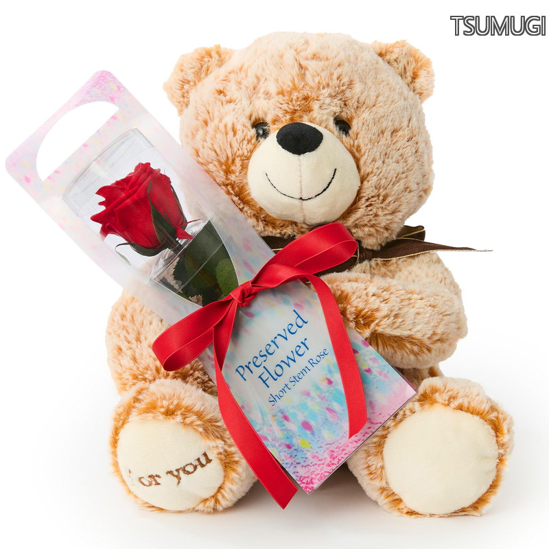 【貨物輸送無料】プリザーブドフラワー 薔薇 1輪 × くま ぬいぐるみ 付き添い人 父の日 (差し上げ物 差し上げ物 祝い事) 生まれ落ちる日 一緒になる祝い事 一緒になる不死化日 お花差し上げ物 (容れもの入り口・入口) テディベア お上さん 室内装飾