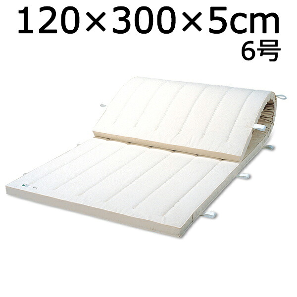 体操マット 6号 マット運動 練習 マット SGマーク付体操マット 120×300×厚5cm 送料無料