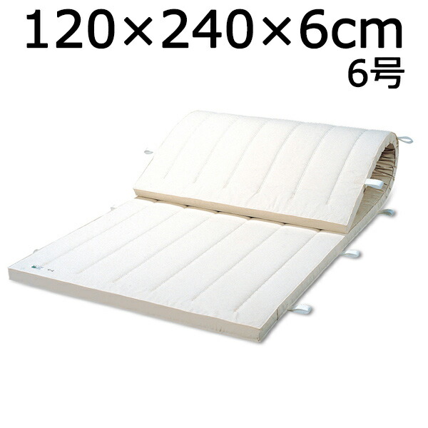 体操マット 6号 マット運動 練習 マット SGマーク付体操マット 120×240×厚6cm 送料無料 39,715円