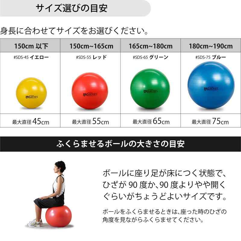 バランスボール エクササイズボール セラバンド マニュアル付 体幹 トレーニング ストレッチ エクササイズ インナーマッスル D&M ディーアンドエム THERABAND 国内正規輸入