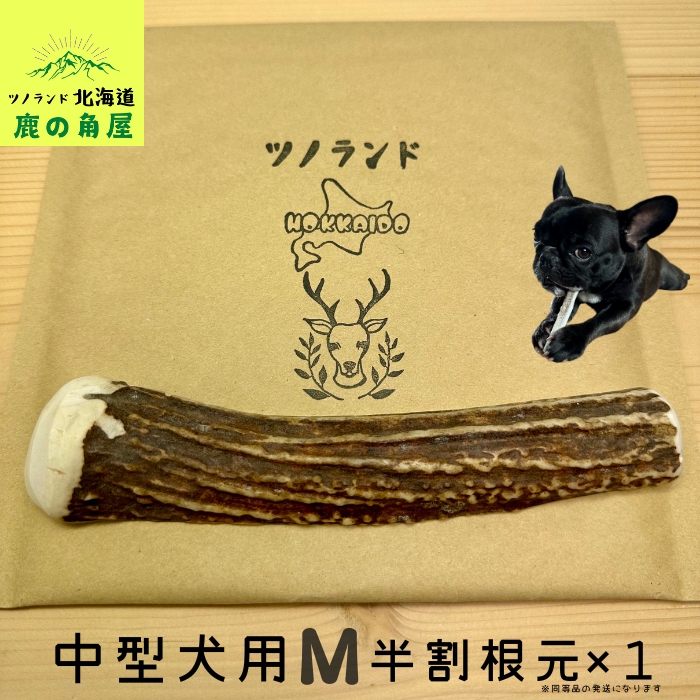 遊び比べ】大型犬用お試し3本セット四つ割り＆半割り＆一本物犬