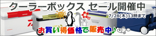 楽天市場】電気ウキ マルシン漁具 EL 時雨 (ELしぐれ) 環付き遊動タイプ 0.8号 / SALE 【セール対象商品】 : 釣人館ますだ  楽天市場支店