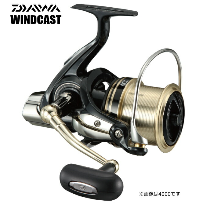 ダイワ 17 陳列場役をつける 4000QD｜木管 daiwa 釣具