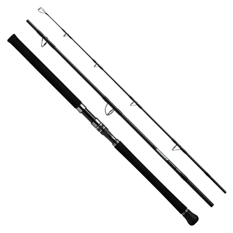 ダイワ ジグキャスターTM 100M-3 DAIWA（釣り） ダイワ ジグキャスター TM 100M-3 : 釣具のFTO