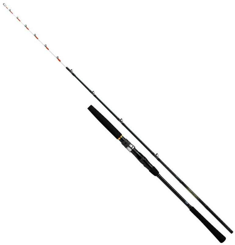 ダイワ 25 ビシアジX MH-150・J｜船竿 daiwa 釣具 【期間限定セール】