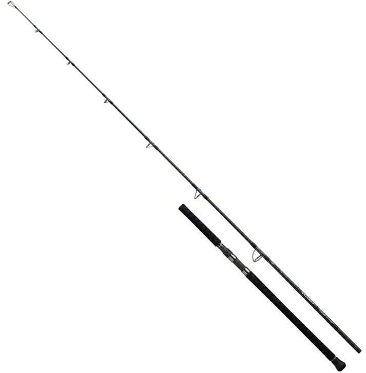 ダイワ 25 ソルティガ C ドッグファイト 76-10｜オフショアキャスティングロッド daiwa 釣具 【期間限定セール】
