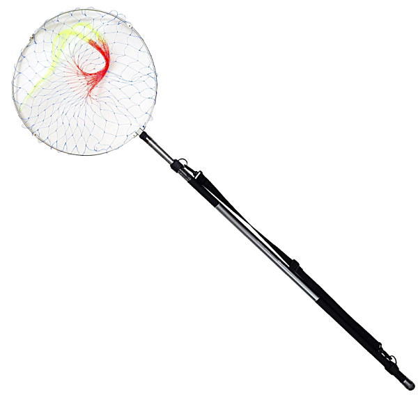 楽天市場】(2) プロマリンビビッド磯玉網セット 630(6.3m