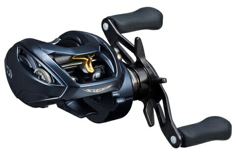 楽天市場】ダイワ バス リール '23 スティーズ A II TW 1000XHL [4