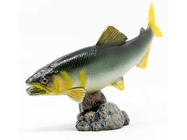 楽天市場】フィギュア アユ 74206 鮎 アクアフィッシュ ミニモデル 鮎
