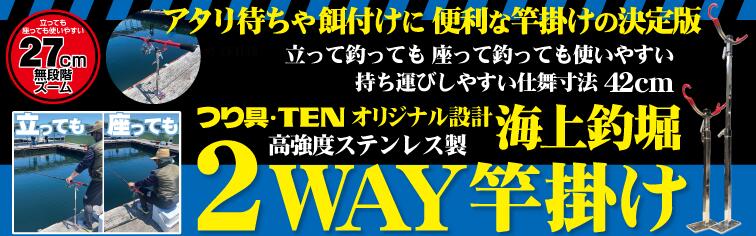 楽天市場】つり具TEN コンパクトサビキ釣り入門 完全釣りセット 全7点