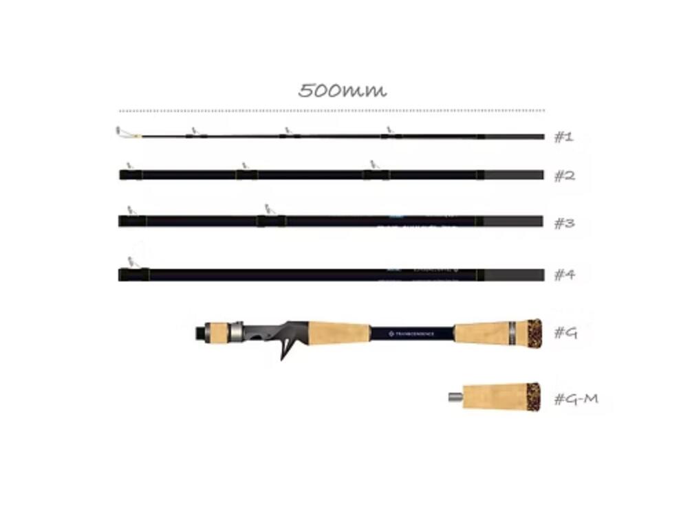 Late Bloomings トランスセンデンス 楽天市場】トランスセンデンス レイトブルーミングス 510+