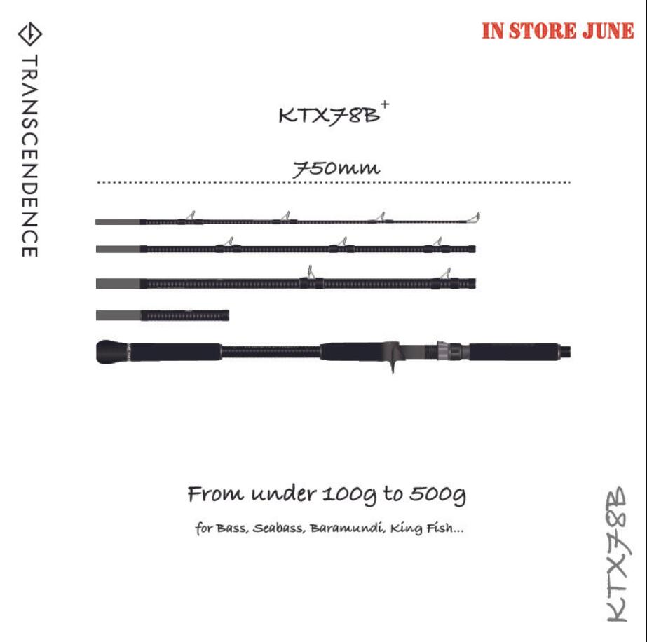 TRANSCENDENCE Batuta 80S バトゥータ80S 楽天市場】【TRANSCENDENCE/トランスセンデンス】Batuta 80S
