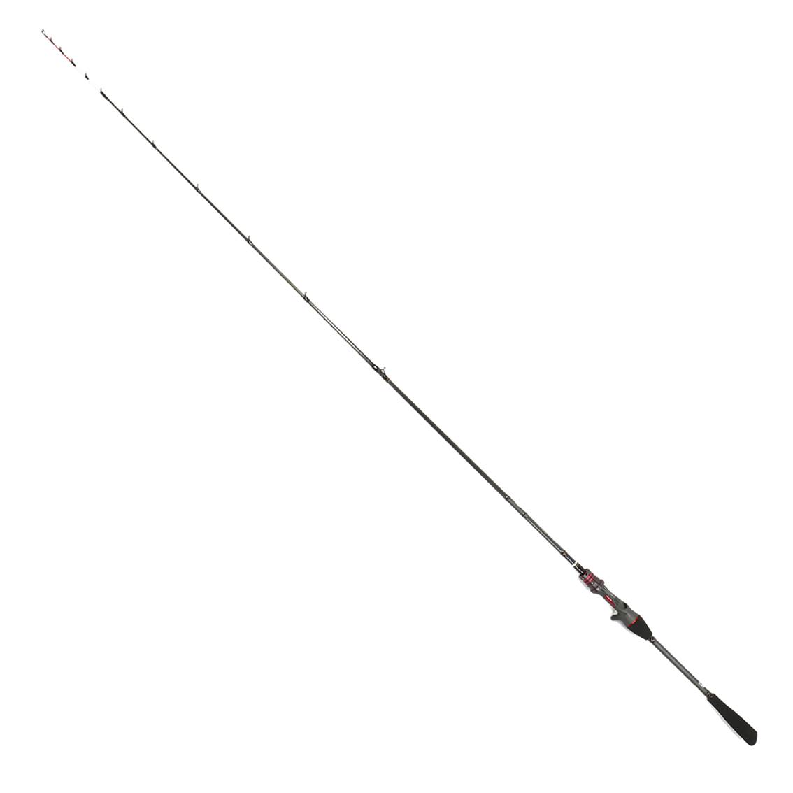 【ダイワ(DAIWA)】 極鋭カレイ EX AGS 160 [船竿 ロッド