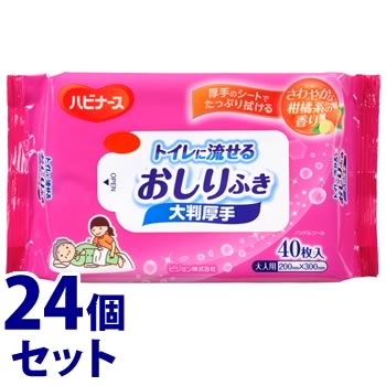 《セット販売》 ピジョン ハビナース トイレに流せるおしりふき 大判厚手 (40枚)×24個セット 介護 清拭 スキンケア用品 大人用 防災|ツルハドラッグ
