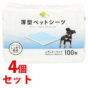 専用　ペットシーツ５枚 ケース》 ペットアイ 速乾吸収厚型ペットシーツ レギュラー (100