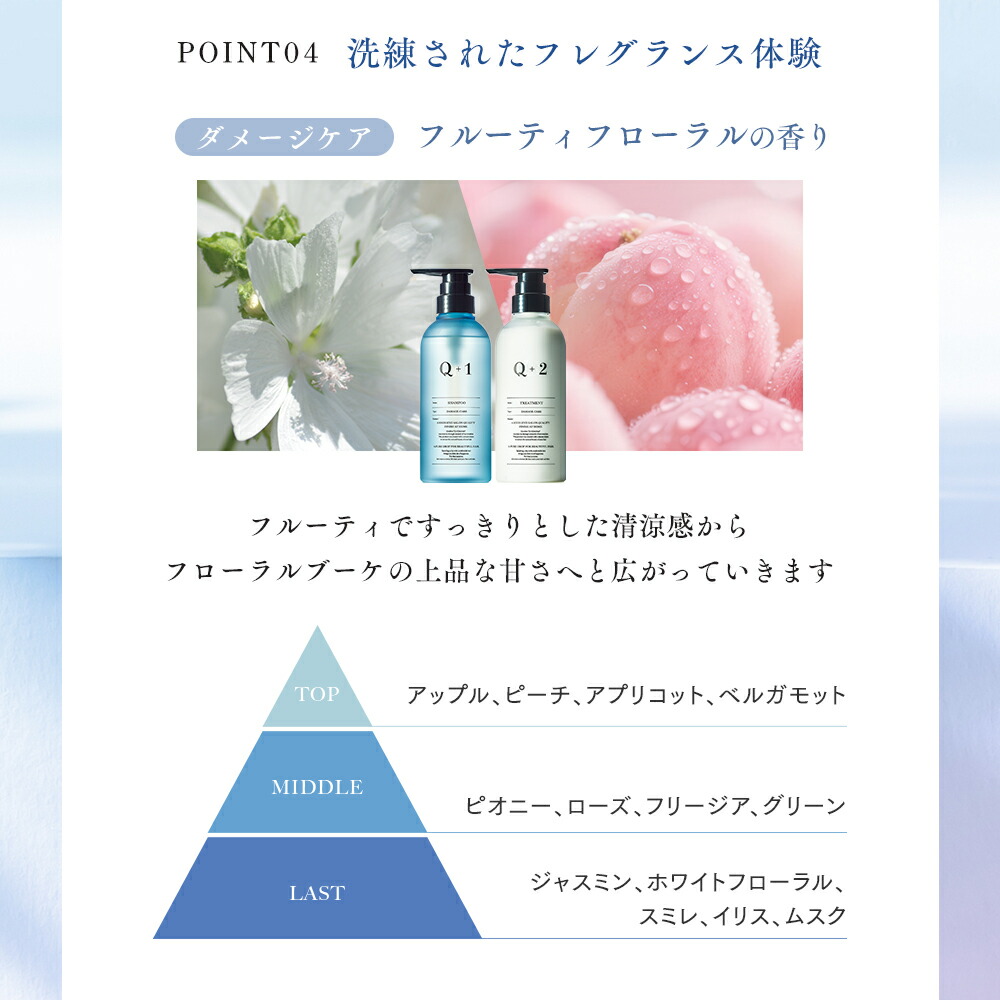 Q+ ( クオリタス )シャンプー ＆ トリートメント 400ml ＆ 400g