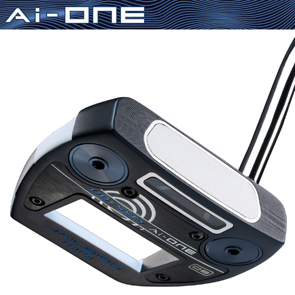 美品 オデッセイ Ai-ONE ジェイルバード ミニ DB パター 日本正規品 0000018028201_common.jpg