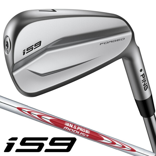 楽天市場】ピン PING ゴルフクラブ アイアンセット 6本組 メンズ N.S.