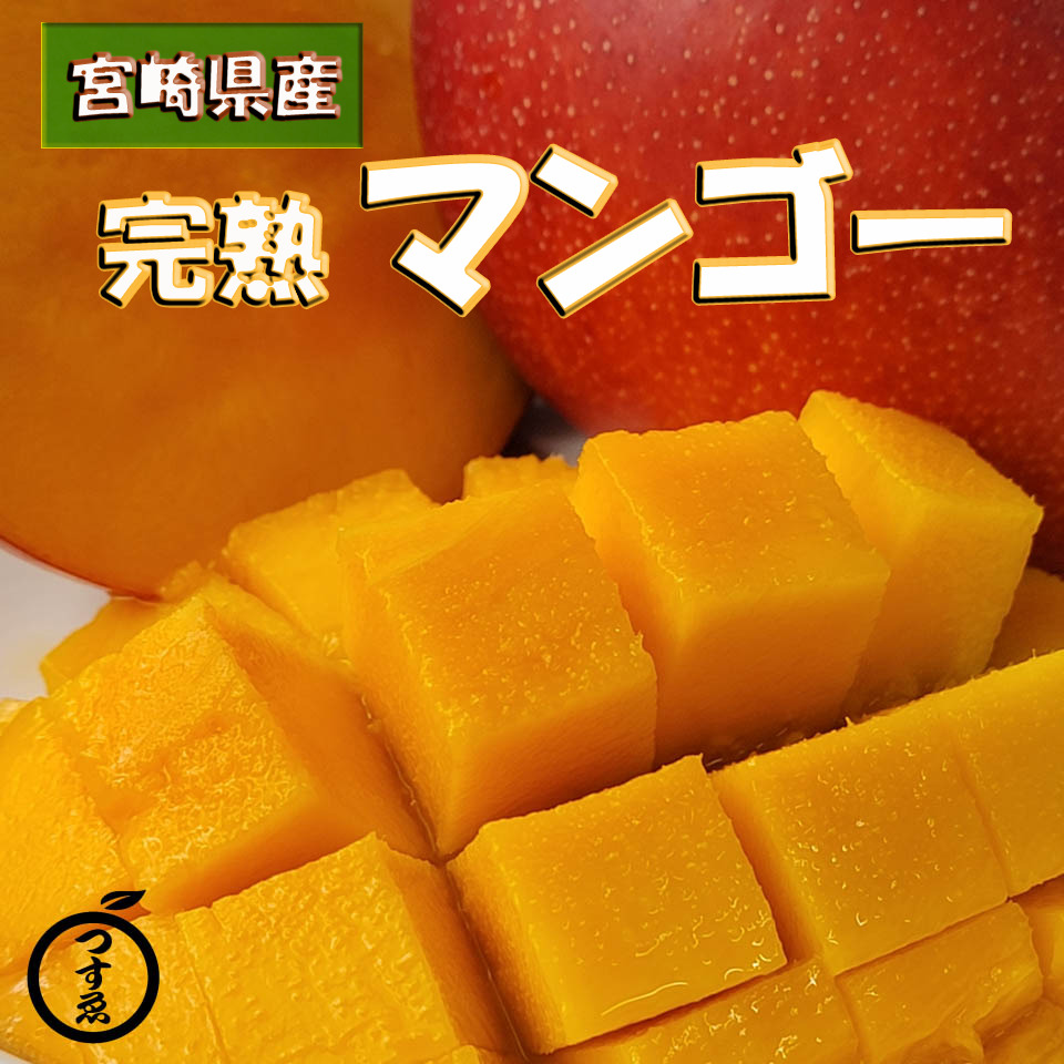 人気提案 宮崎県産 完熟マンゴー 2kg ばら blog2.hix05.com