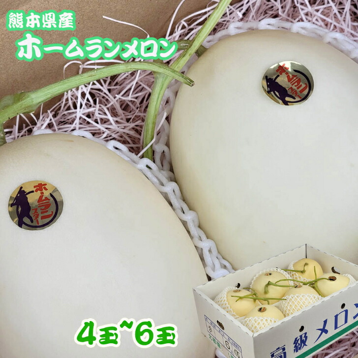 【熊本県産　ホームランメロン　４玉~６玉入　約５ｋ】母の日おすすめ　肥後　グリーン　高糖度　贈答用　御中元　旬のメロン　フルーツギフト　フルーツセット　送料無料