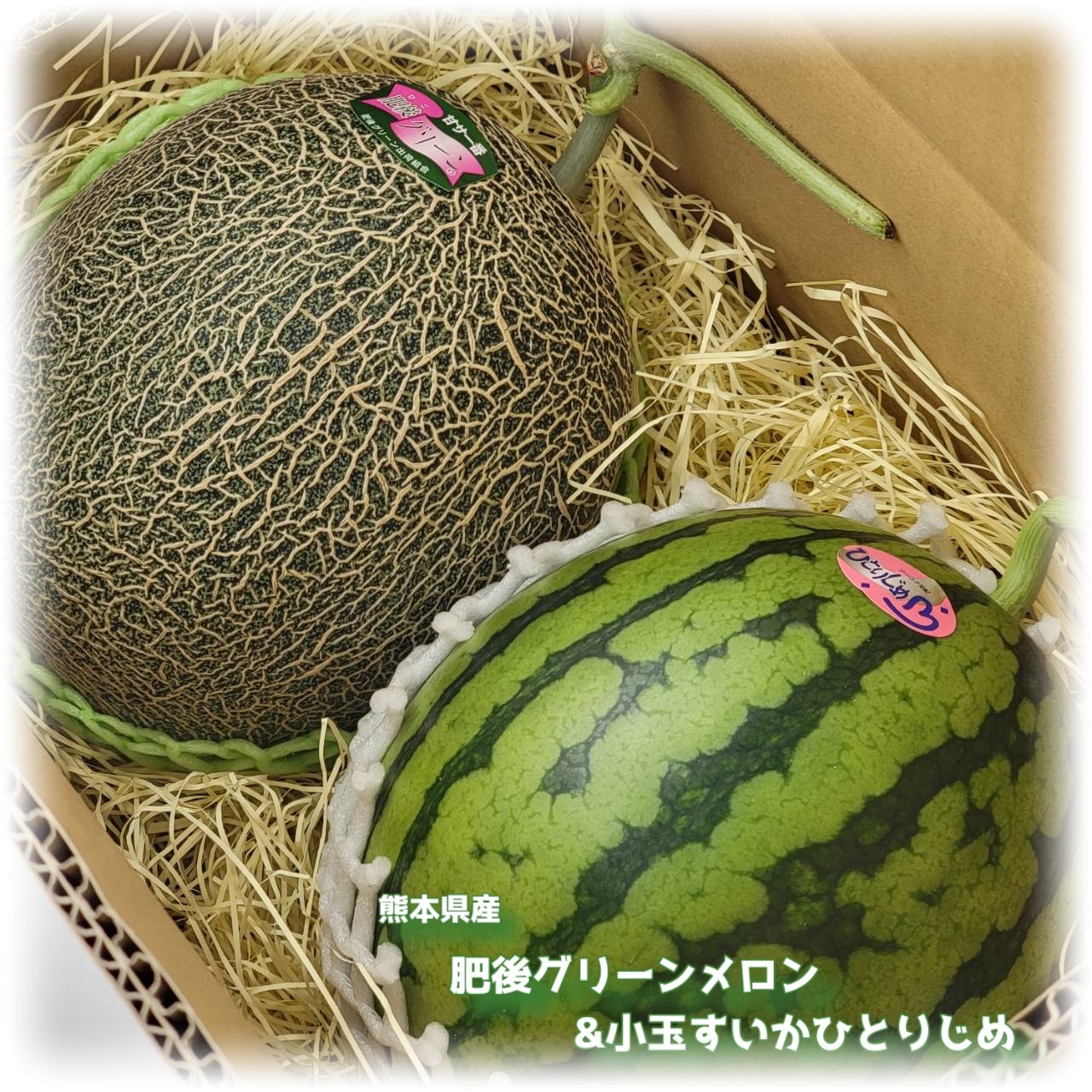 【熊本県産　肥後グリーンメロン＆ひとりじめ　セット】小玉西瓜　すいか　贈り物　誕生日　贈答品　フルーツ詰め合わせ　果物詰め合わせ　夏ギフト　父の日　フルーツギフト　熊本すいか