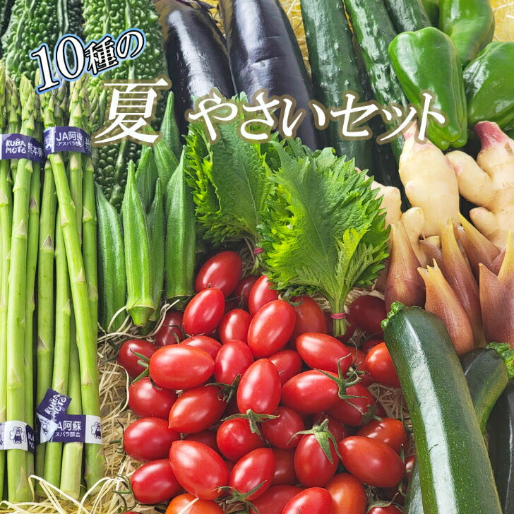 Atai Goro 10種の夏野菜セット 今が旬の夏野菜 なすび きゅうり アイコトマト トマト 新生姜 ゴーヤ ズッキーニ オクラ 大葉 みょうが アスパラ ピーマン 南瓜などを詰合せた お野菜セット 夏野菜セット 気質アップ Css Edu Om