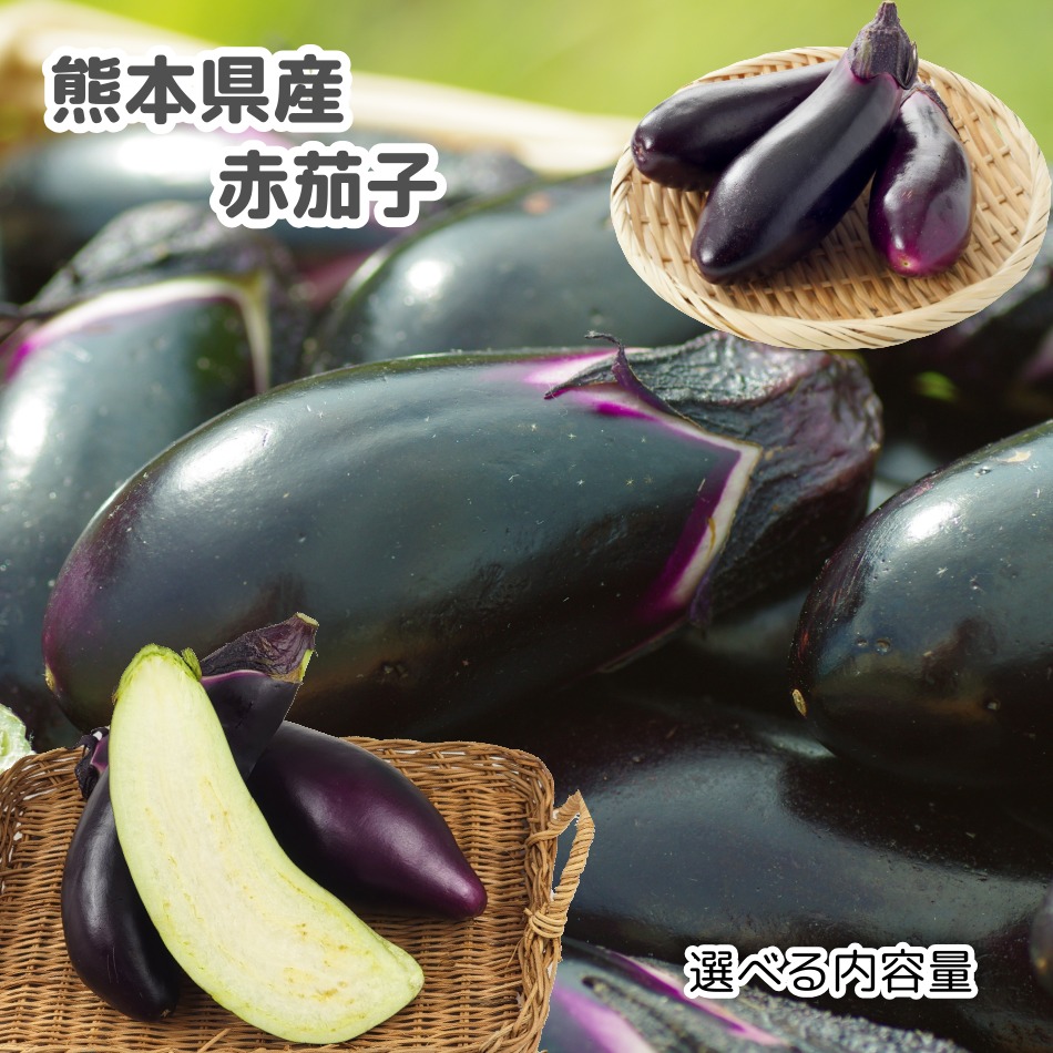 楽天市場】【熊本県産 赤茄子 M 選べる内容量】熊本県産の赤なすをお