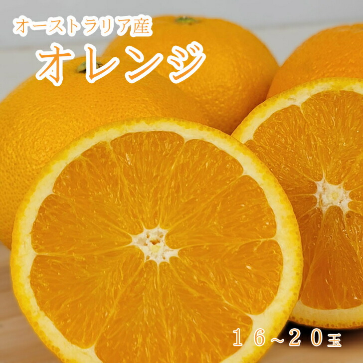 おれんじ 楽天市場】【オーストラリア産 オレンジ 72~88玉】ネーブル