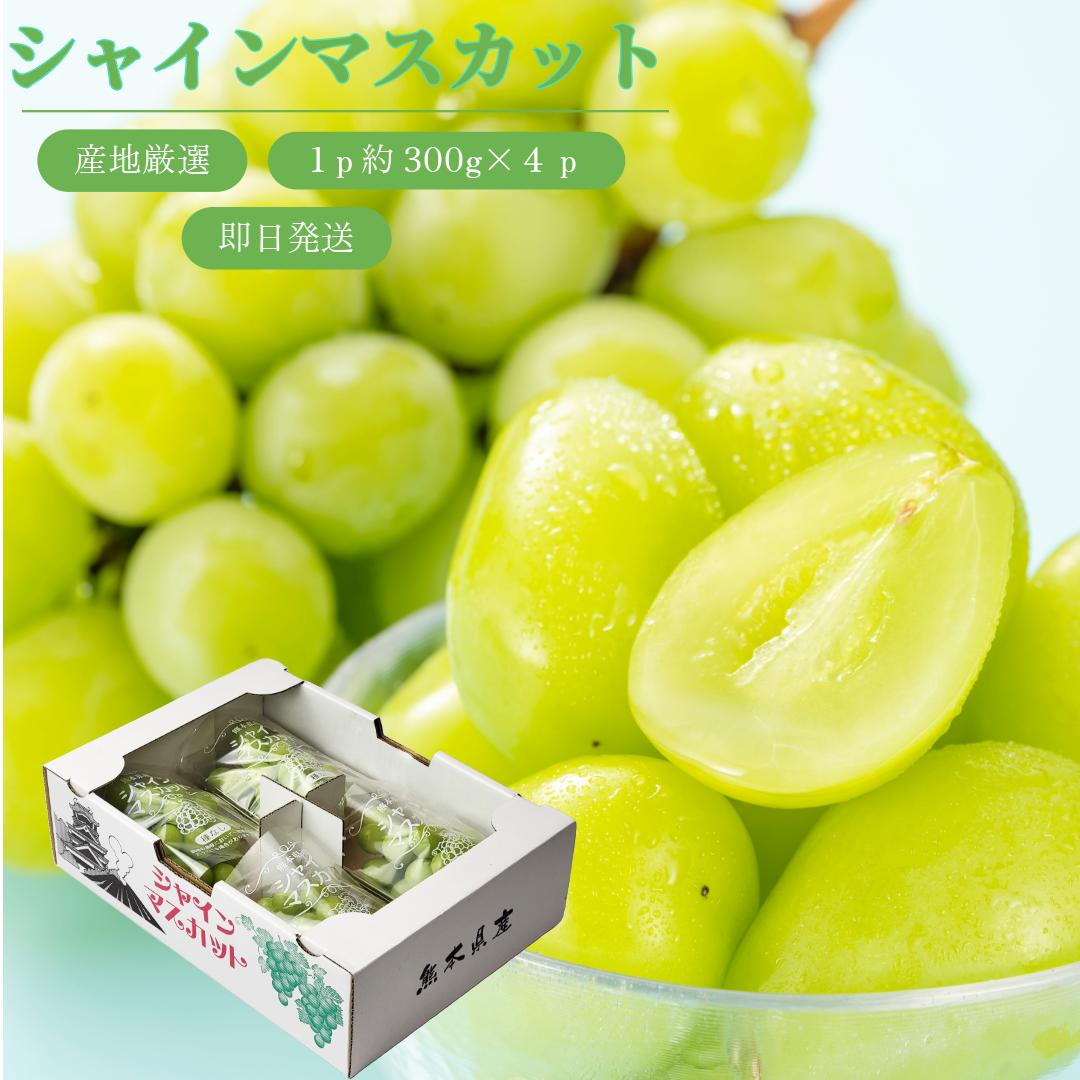 楽天市場】【産地厳選 シャインマスカット 2p or 4p入】熊本県産