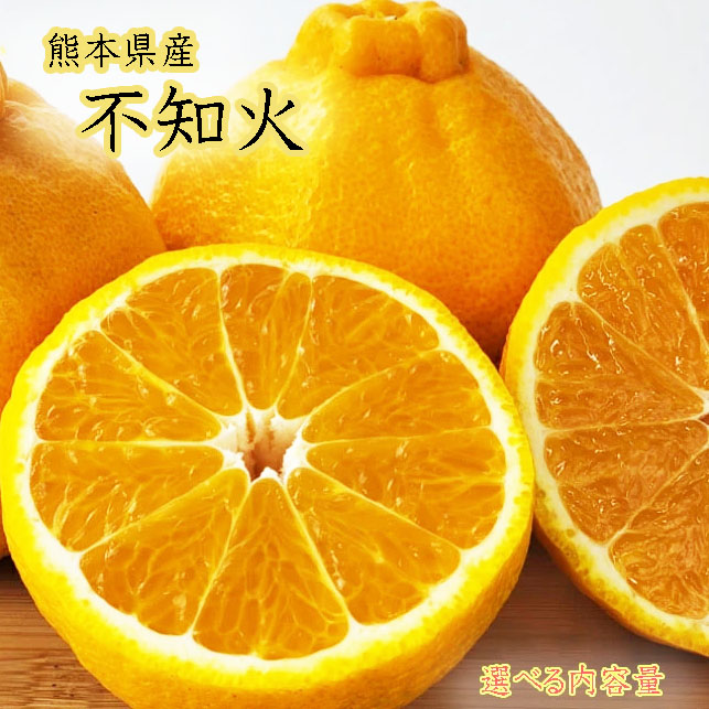 天草しらぬい　家庭用　箱込20kg 楽天市場】【熊本県産 不知火 しらぬい 選べる内容量】あまくさ 天草