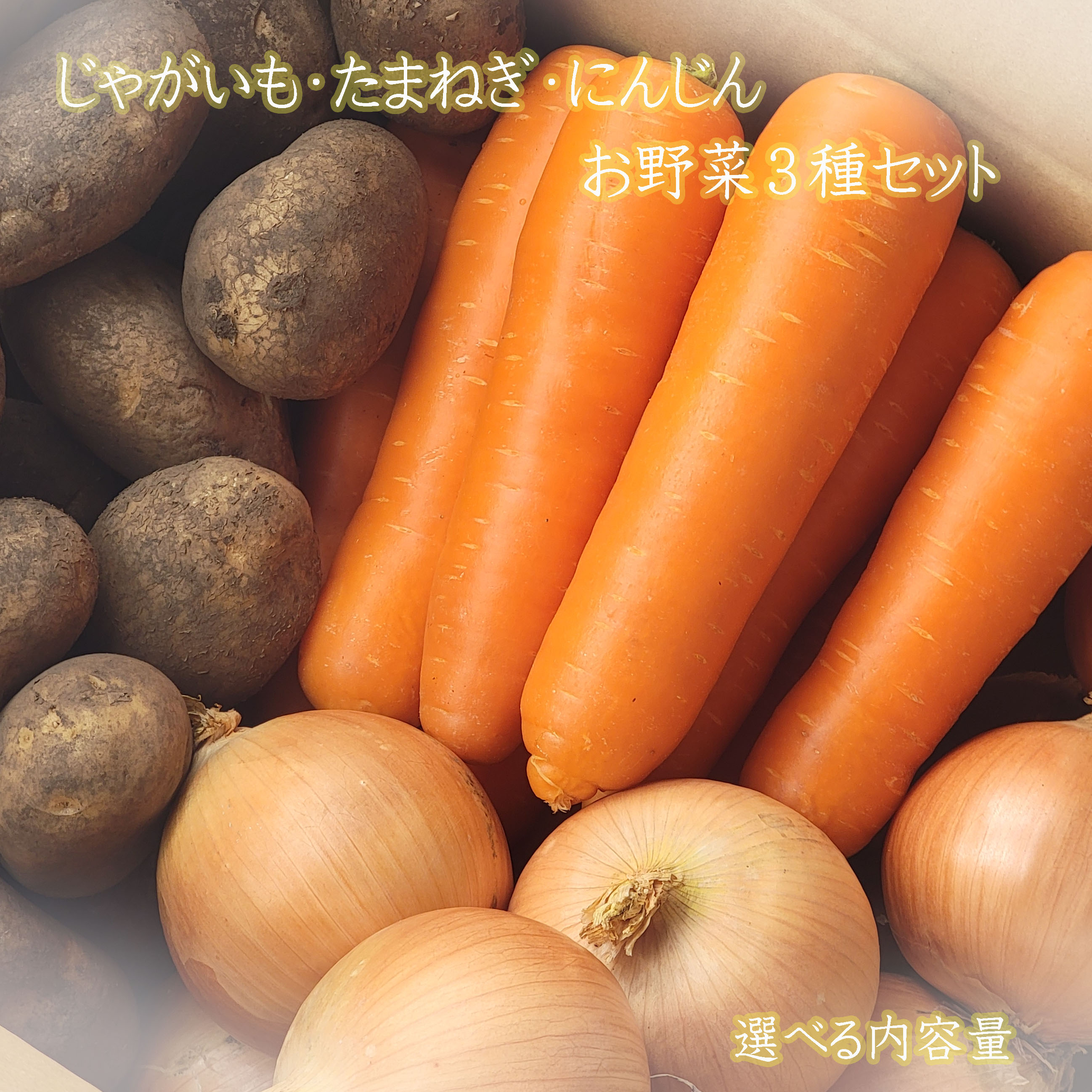 ミナミ様　茄子、人参、ジャガイモ、他果物野菜付きセット ミナミ様 茄子、人参、ジャガイモ、他果物野菜付きセット 2025年秋発送