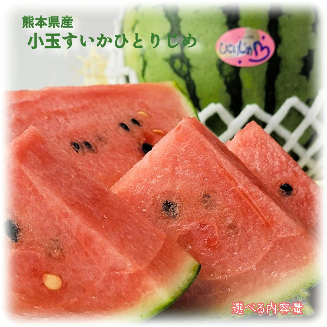 父の日おすすめ【熊本県産　小玉すいか　ひとりじめ　選べる内容量】小玉西瓜　ひとりじめすいか　ひとりじめスイカ　高糖度　甘い　贈り物　贈答品　父の日　プレゼント　フルーツギフト　御中元　お中元　送料無料　熊本すいか　熊本すいか