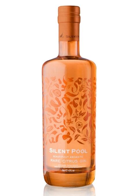 楽天市場】【 2025年4月発売 】【箱なし】サイレントプール