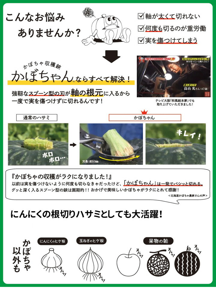 Suwada かぼちゃの心棒 にんにくの根切りハサミ かぼちゃん パンプキン採り入れる剪刀 メールオーダー天上限局格納合切袋幸 Accesovertical Com Ec Suwada かぼちゃの心棒 にんにくの根切りハサミ かぼちゃん パンプキン採り入れる剪刀 メールオーダー天上限局格納合切袋幸 Accesovertical Com Ec