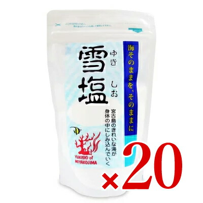 【マラソン限定!最大2000円OFFクーポン配布中!】《送料無料》パラダイスプラン 雪塩 120g × 20袋