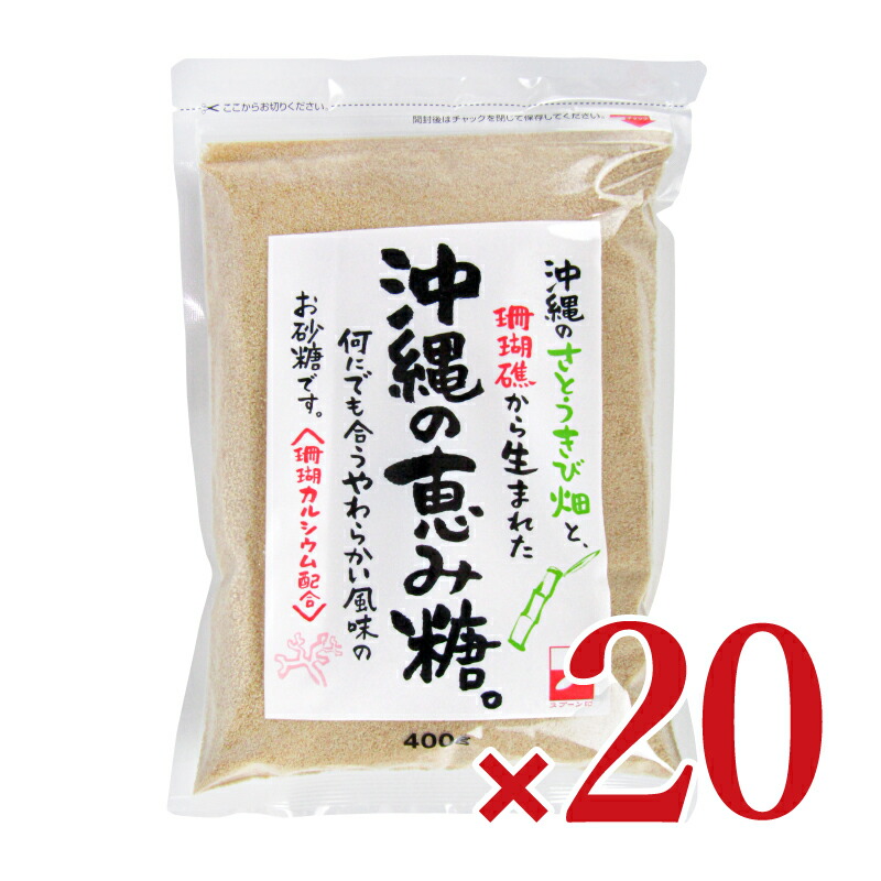【マラソン限定クーポン配布中】《送料無料》三井製糖 スプーン印 沖縄の恵み糖 400g×10個×2箱 【 まとめ買い 箱買い ケース販売】