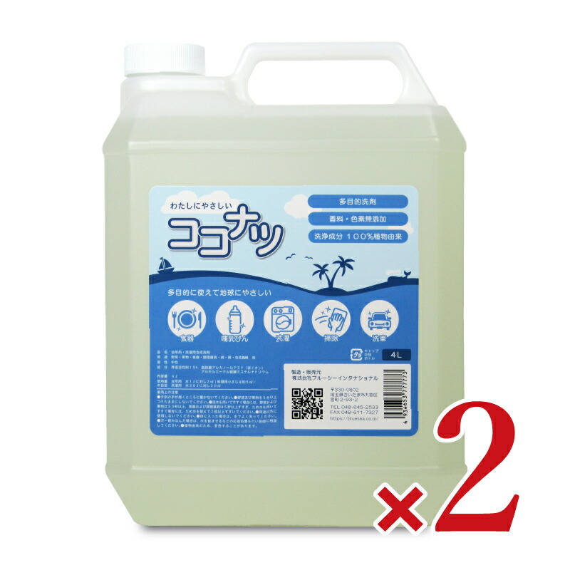 【4/10まで！クーポン配布中】《送料無料》ココナツ 洗剤　お徳用4L × 2本 ブルーシーインターナショナル 【 まとめ買い 】