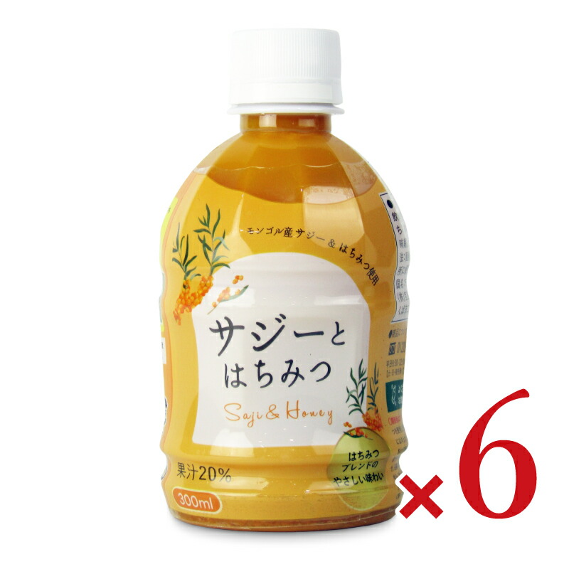 宝島 サジーとはちみつ 300ml × 6本【まとめ買い】画像
