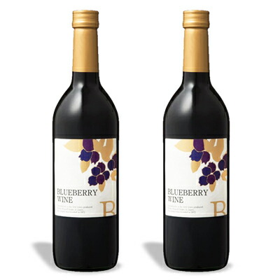 【マラソン限定クーポン配布中】《送料無料》巨峰ワイナリー ブルーベリーワイン（甘口） 720ml × 2本 【 まとめ買い 】