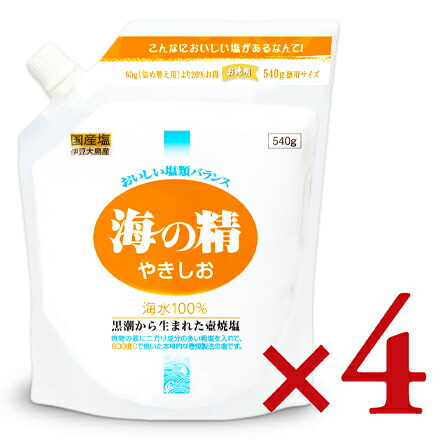 【マラソン限定!最大2000円OFFクーポン配布中!】《送料無料》 海の精 やきしお スタンドパック 540g × 4袋
